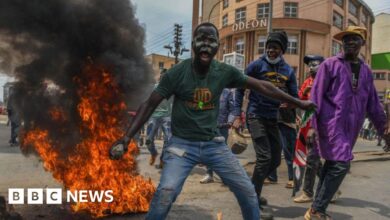 Kenyan president fires ministers over anti-tax protests