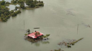 World news in brief: UN responds to floods in Bangladesh, sports and human rights, polio vaccination in Angola