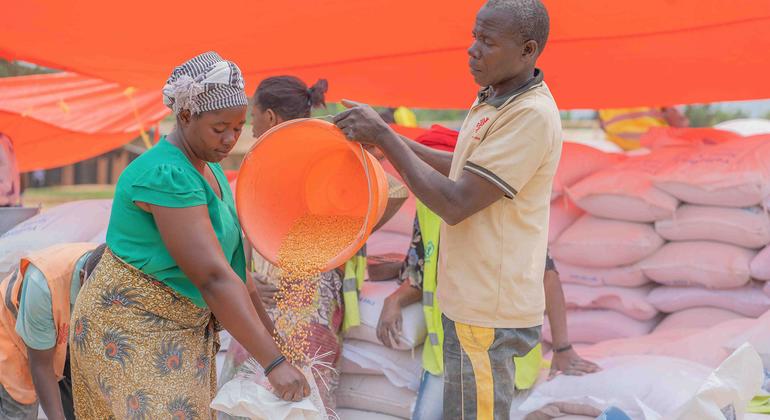 DR Congo: Conflict escalates over deadly Mpox threat