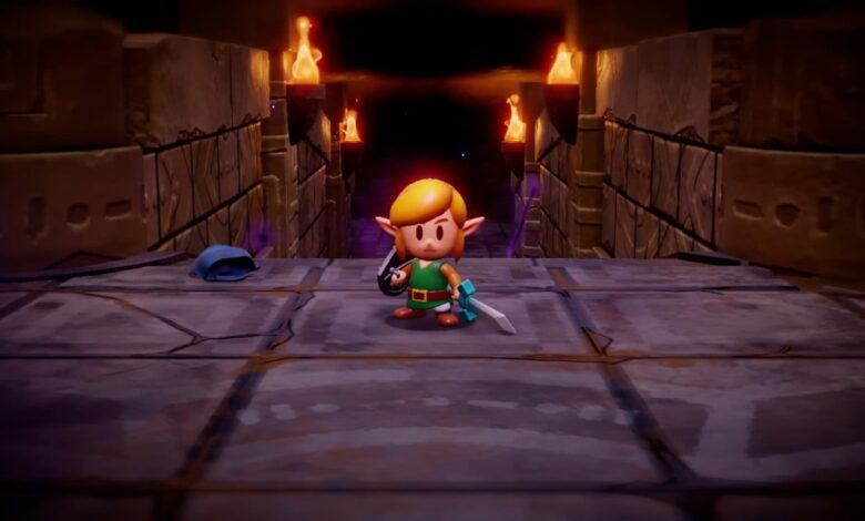 Link Will Be Playable In Zelda: Echoes Of Wisdom, According To New ESRB Rating