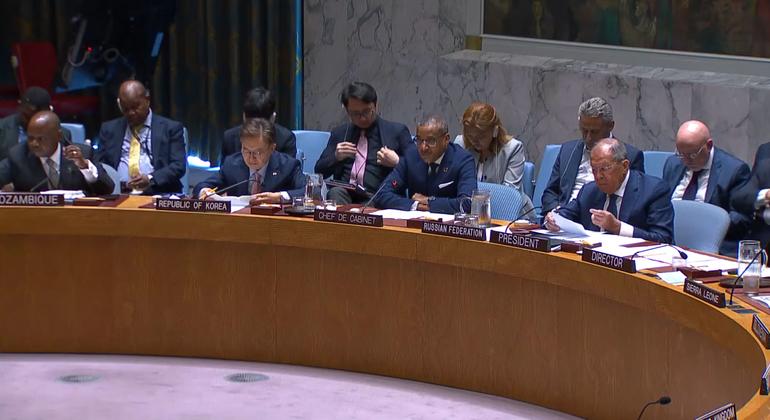 Security Council debates Gaza crisis, as human suffering continues unabated