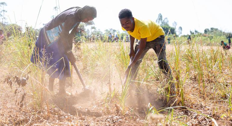 UN and partners launch urgent appeal to address severe drought in Malawi