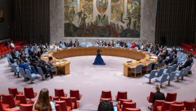 Security Council lifts arms embargo on Central African Republic forces