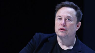 Elon Musk 'fully supports' Donald Trump after deadly campaign rally shooting