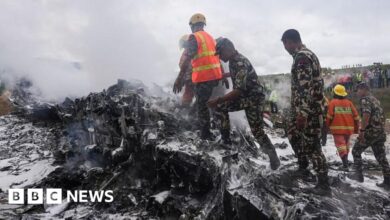 Sole pilot survives plane crash in Nepal