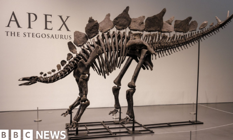 Dinosaur skeleton fetches record $44.6 million at New York auction