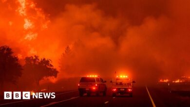 California wildfires burn 5,000 acres per hour