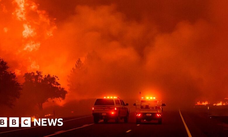 California wildfires burn 5,000 acres per hour