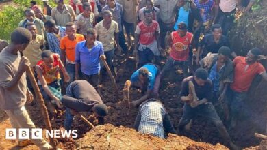 Frantic dig for survivors in Gofa