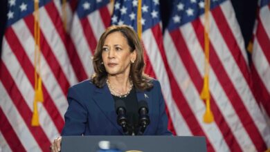 Kamala Harris Vice President November Election Wisconsin Rally Takeaways Recap Summary