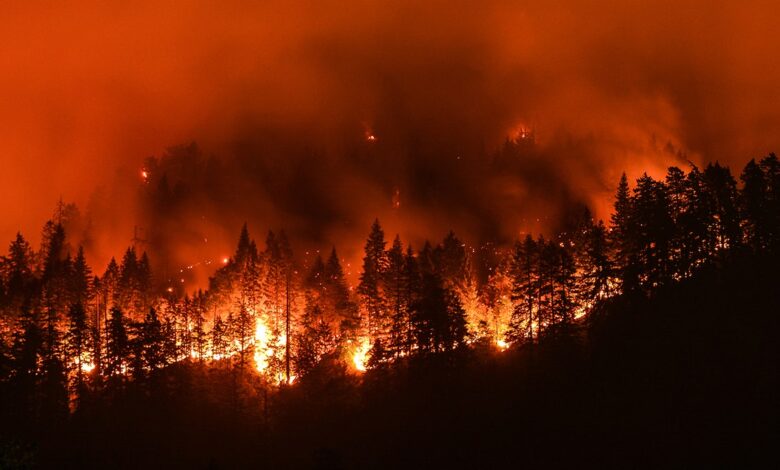 Severe wildfires have doubled in frequency and intensity over the past 20 years.