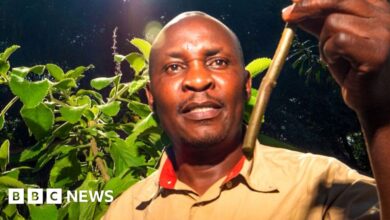 Kenyan Botanist Makes Case for Traditional African Medicine