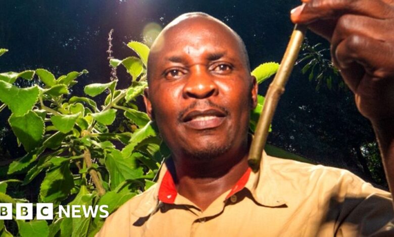 Kenyan Botanist Makes Case for Traditional African Medicine