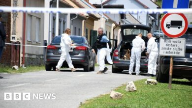 At least six people killed in shooting at nursing home in Croatia