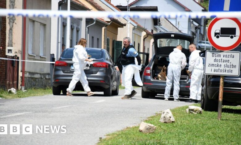 At least six people killed in shooting at nursing home in Croatia