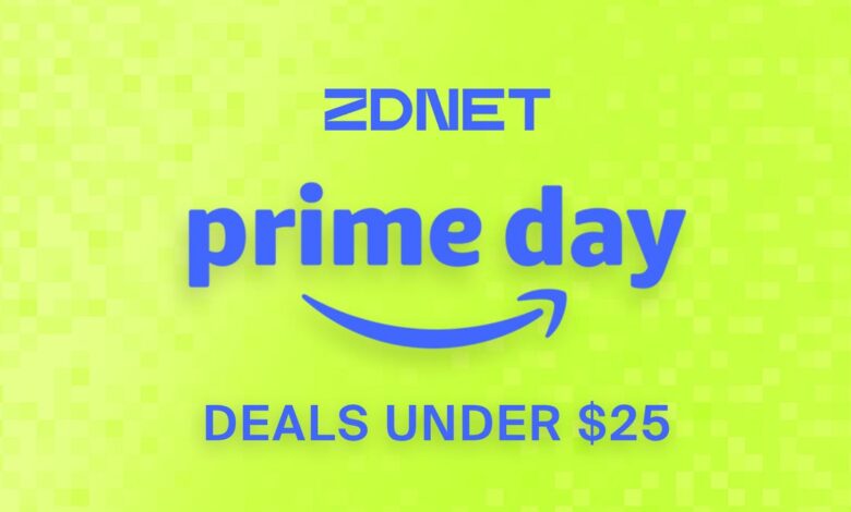 30 Best Prime Day 2024 Deals Under $25