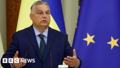 Concerns over reports Orban is planning trip to Moscow