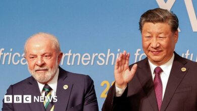 Why did Brazil's President Lula build the Brics bloc?