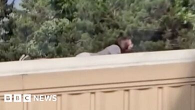 Video shows Trump's sniper on the roof