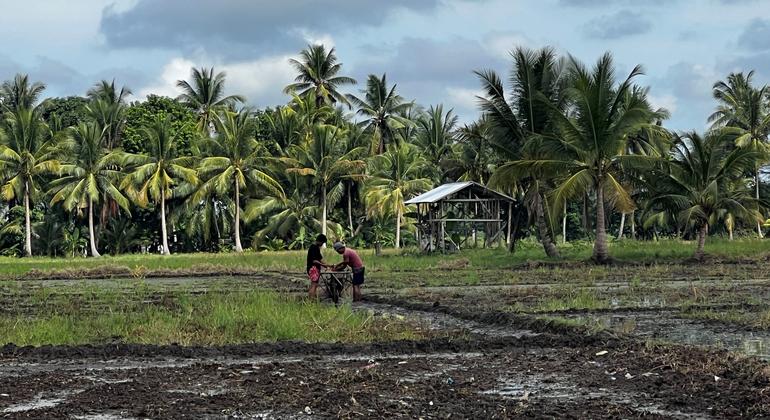 'Trust and respect' nourishes the success of interfaith rice farming in the Philippines