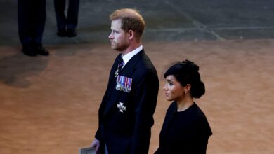 Prince Harry says Meghan Markle is not safe in UK: 'Just a lone actor'