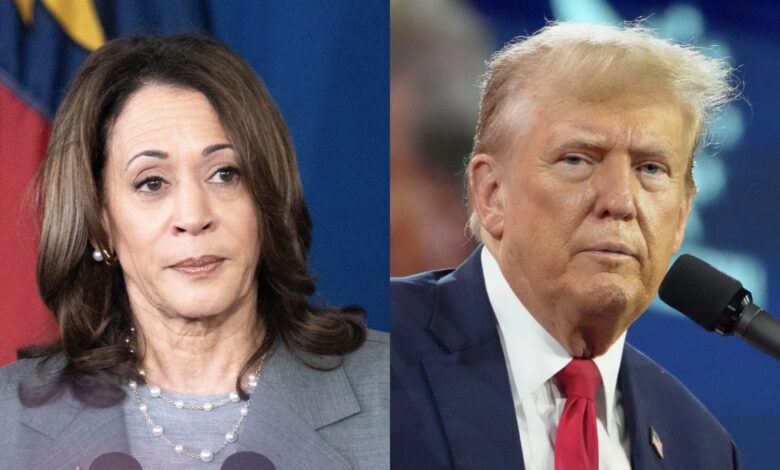 Kamala Harris Reacts To Donald Trump After He Said THIS About Their Debate Following Her Securing The Democratic Nomination