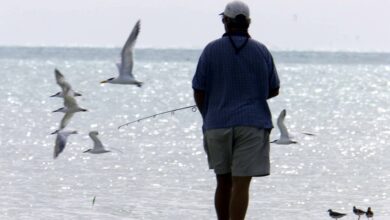 Tropical Storm Debby moves across the Gulf toward Florida