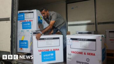 Israel agrees to suspend polio vaccination campaign in Gaza