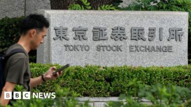 Japanese shares rebound a day after big sell-off