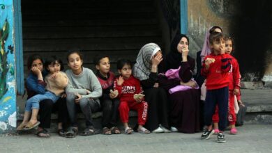 Gaza: UNRWA programme aims to get children 'back to school'