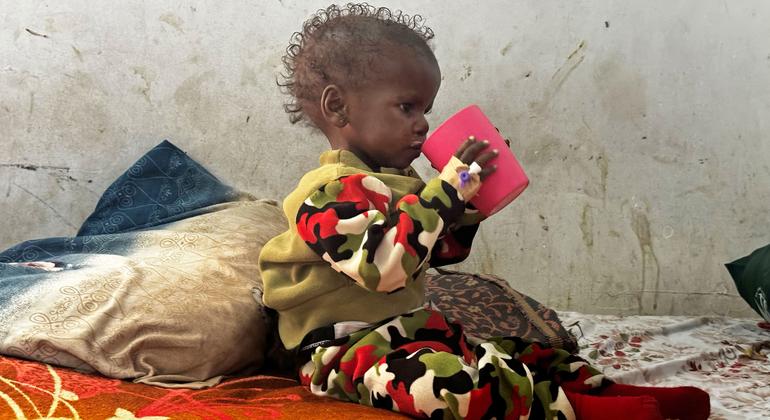 Famine is now raging in parts of war-torn Sudan.