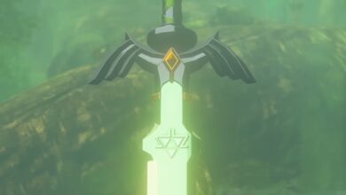 Random: Tears Of The Kingdom's unbreakable master sword is retrieved with a very complicated error