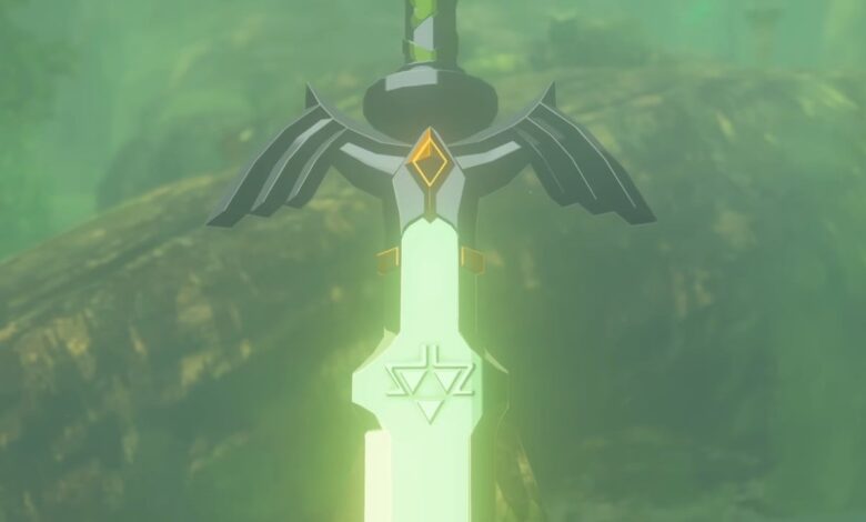 Random: Tears Of The Kingdom's unbreakable master sword is retrieved with a very complicated error