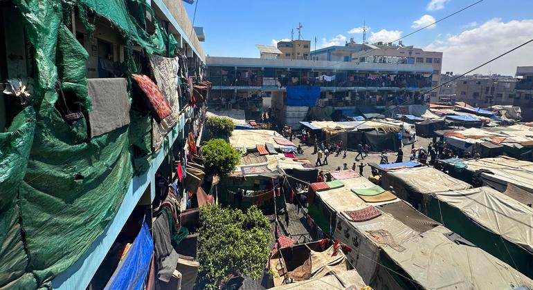 Gaza: Crucial aid supplies running low as schools continue to come under attack