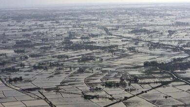 Myanmar: UN WFP boosts outreach to flood-affected communities