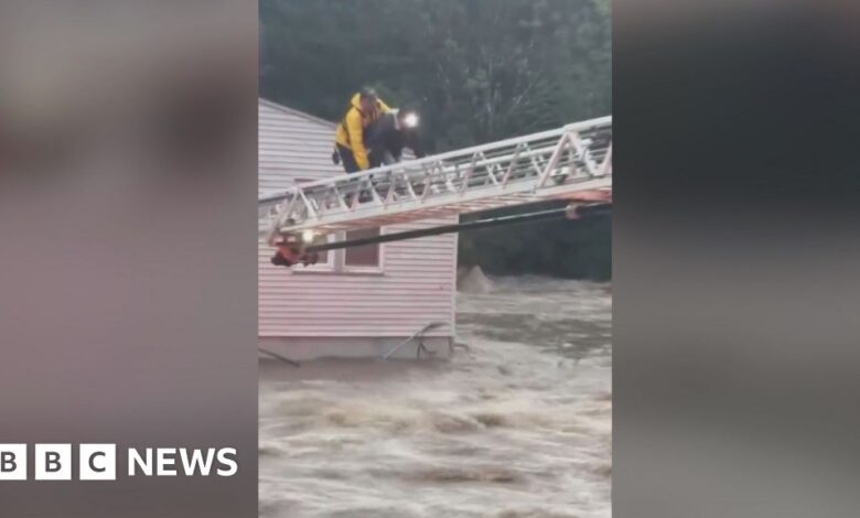 Firefighters crawl over ladders over floodwaters to rescue woman