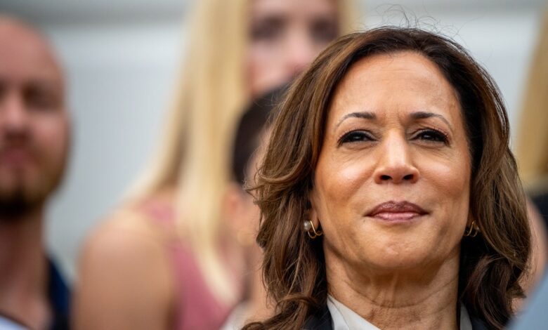 Who will Kamala Harris pick as Vice President? Here are the finalists