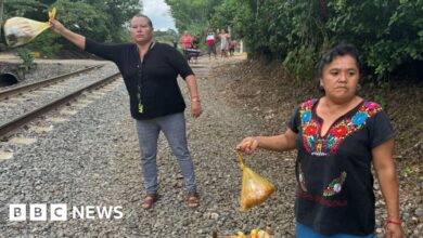 Mexican women help migrants on dangerous journey to the United States