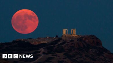 Supermoon lights up skies around the world