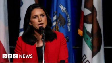 Former Democrat Tulsi Gabbard Officially Endorses Trump