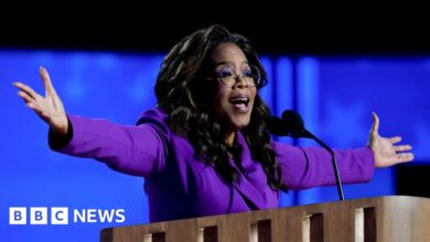 Oprah Winfrey makes surprise appearance at Democratic convention