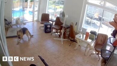 CCTV captures the moment a 4.4 magnitude earthquake struck California