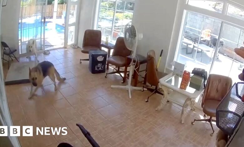 CCTV captures the moment a 4.4 magnitude earthquake struck California