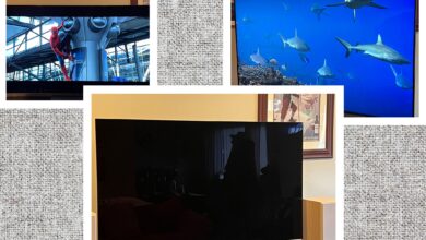 The 10 best TVs we've reviewed, plus buying advice (2024)