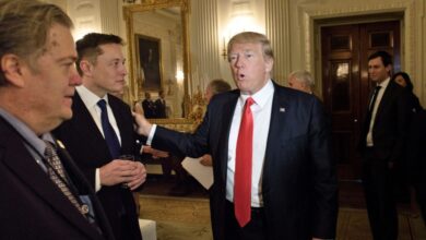 Elon Musk says he would accept a job in Trump's cabinet