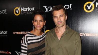 Halle Berry Custody Petition Ex Husband Olivier Martinez Co-Parenting