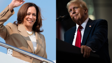 Kamala Harris Responds To Trump Questioning Her Blackness