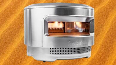 Our 9 Favorite Pizza Ovens: Wood-Fired, Gas-Fired, and Electric (2024)