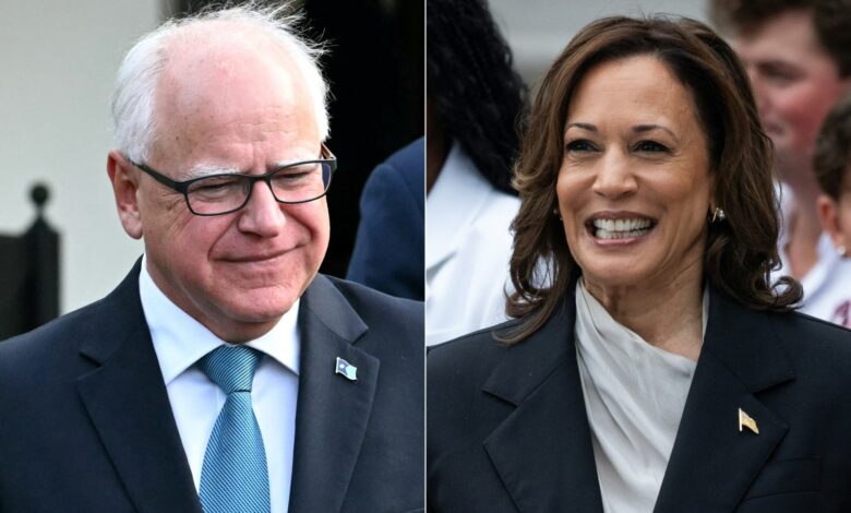 VP Kamala Harris Reportedly Selects Minnesota Governor Tim Walz As Running Mate