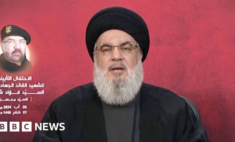 Hezbollah will respond 'no matter what the consequences', leader says